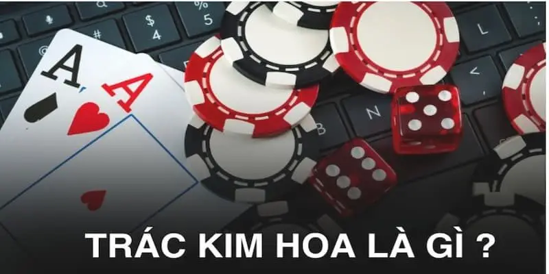 Tìm hiểu Trác Kim Hoa là gì để làm chủ cuộc chơi 